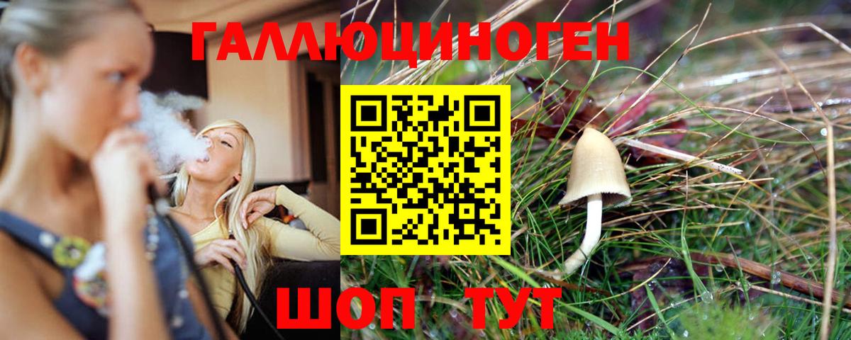 Галлюциногенные грибы Cubensis  Вход с VPN  Соль-Илецк 